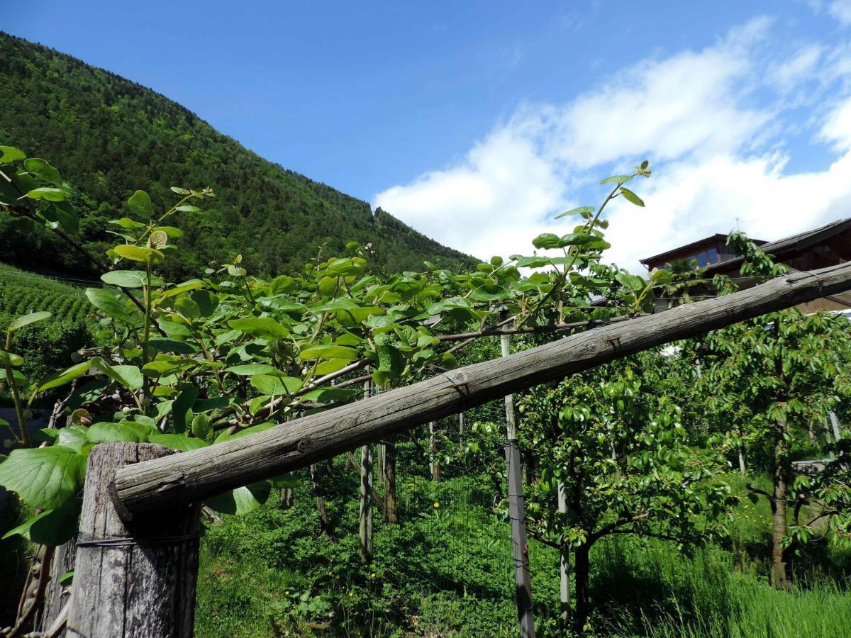 Rochelehof * Marlengo